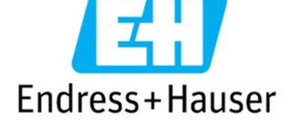 endress-hauser logo1